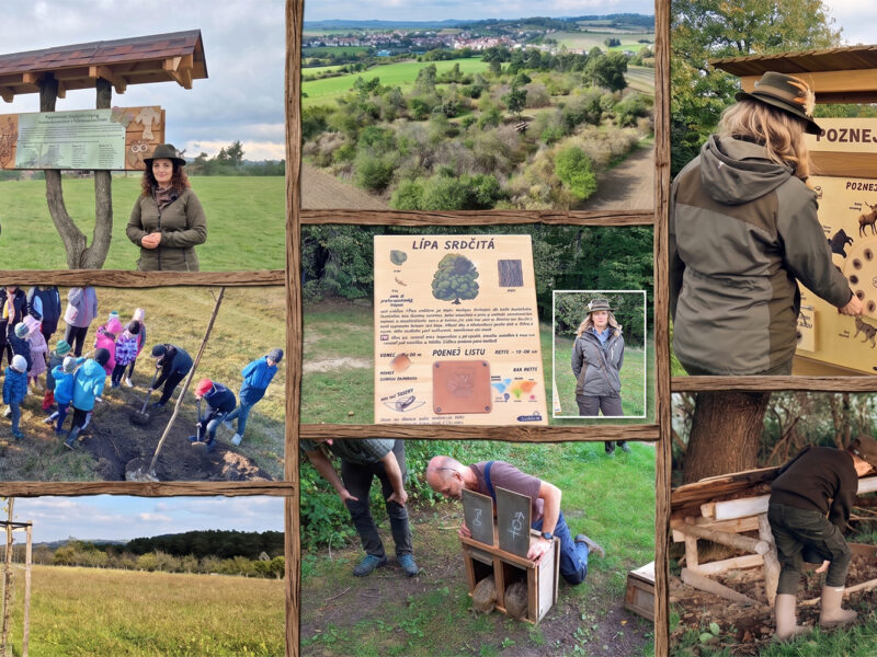 Czech_BIodiversity_Projects_CMMJ