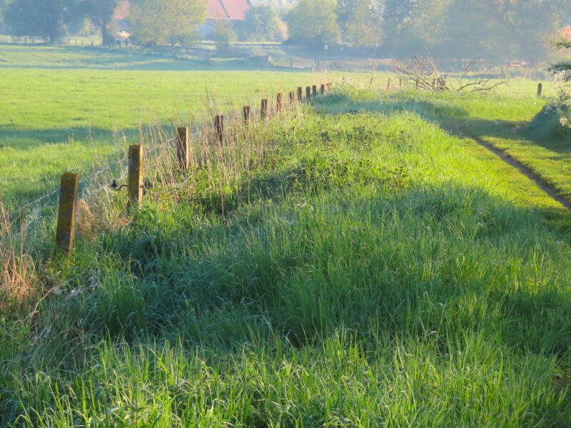 BDM_Grey-Partridge-Returns-to-the-Agricultural-Landscape-of-Greater-Poland_3